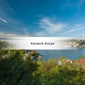 Kavacık Kurye